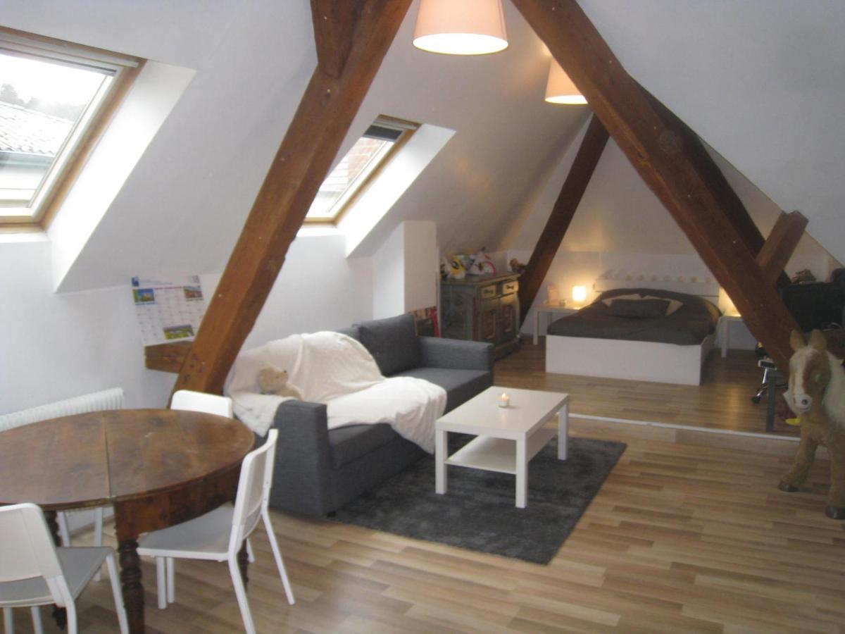 Chambres Privatives Chez L'Habitant Guebwiller Ngoại thất bức ảnh