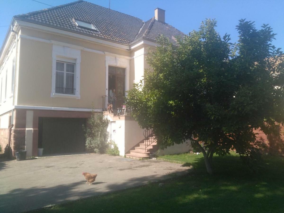 Chambres Privatives Chez L'Habitant Guebwiller Ngoại thất bức ảnh